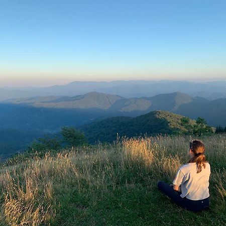 Wolf Ridge Retreat Villa Swiss Ngoại thất bức ảnh